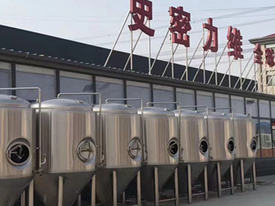 瓯海精酿啤酒设备厂—如何判断精酿啤酒设备的密封件需要更换？